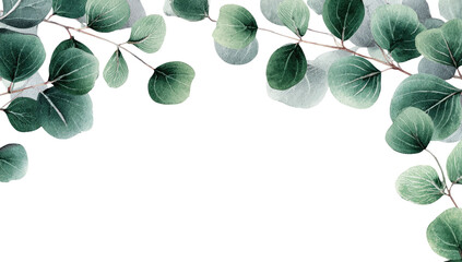 Soft, muted greenery branches frame a dark background.  Leaves are oval-shaped, light and dark green tones, arranged artfully