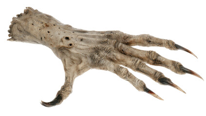 A stylized, gnarled hand with sharp claws.  A muted, greyish-tan color scheme