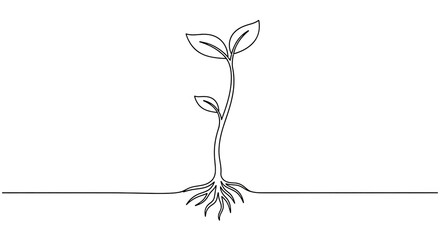 Continuous Line Drawing of a Young Plant with Roots and Leaves