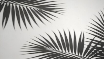 Shadowed Palm Leaves Silhouette on Light Background Artistic Nature Pattern