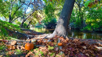 Autumn Forest Path with Pumpkins and Fallen Leaves