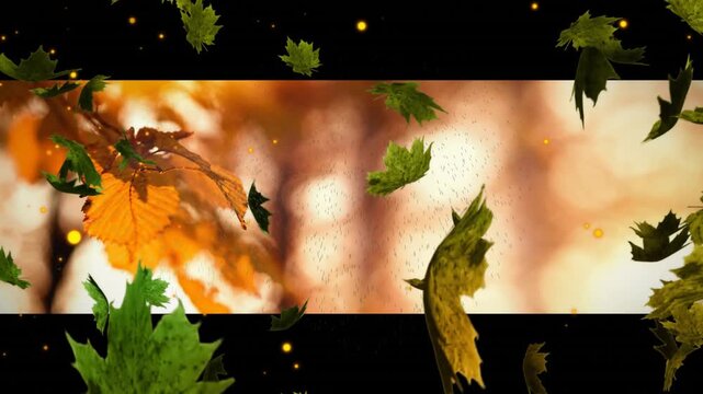 Gentle breeze pushing green yellow leaves swirling drifting past autumn branch framed by black bars