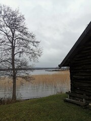 View of a calm lake with dry reeds from a grassy shore, framed by an old log building and a bare tree under a vast, gloomy autumn sky in Karelia, Russia.