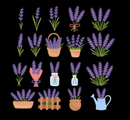 Collection of Lavender Flowers and Arrangements