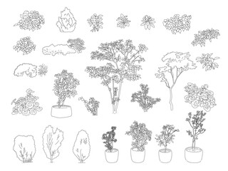 外構・庭植栽のイラスト