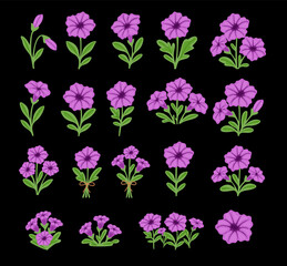 Collection of Purple Petunia-like Flowers and Bouquets