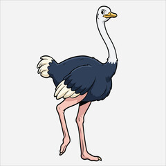 Cartoon illustration of an ostrich standing on a plain white background with a comical and playful mood.