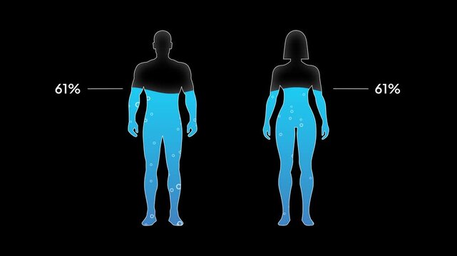 Water Percentage 65% in human body animated, Black background