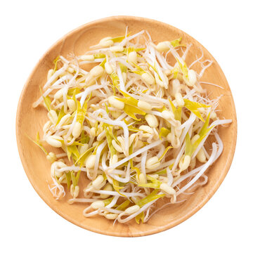 Mung bean sprouts on wooden plate, Food ingredient in Asian cuisine, Top view