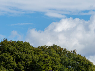 Obraz premium 山の樹木と空の風景