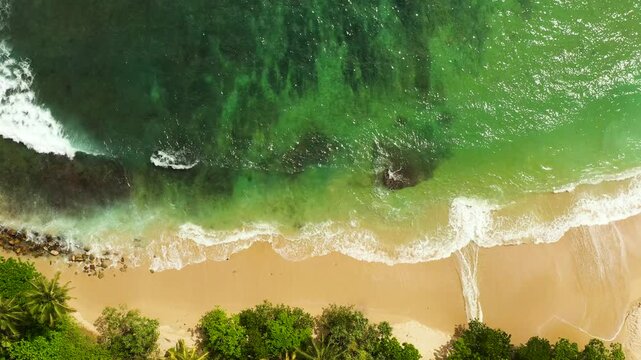 Aerial view of Tropical beach with palm trees. Hiriketiya, Sri Lanka.