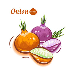 瑞々しい白玉ねぎと赤玉ねぎのポップでキュートなイラスト