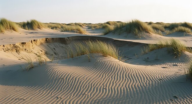 Expansive landscape of rolling sand dunes with wind-swept patterns and grass.