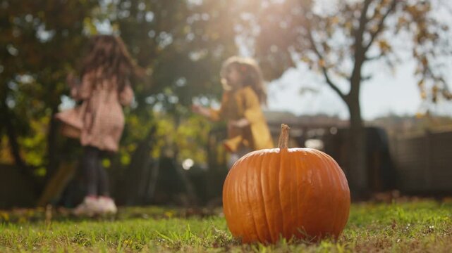 Little girls playing near a pumpkin on a sunny autumn day