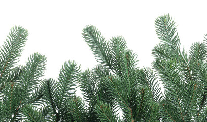 Branch of artificial fir tree isolated on white. Christmas decor