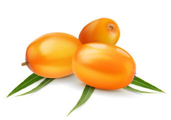 Sea buckthorn berries and green leaves isolated on white