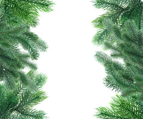 Christmas fir tree branches isolated on white