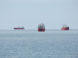 Naklejka premium Puerto Madryn. Chubut. Patagonia argentina. Travel and nature