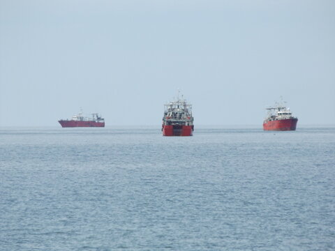 Puerto Madryn. Chubut. Patagonia argentina. Travel and nature