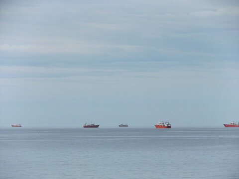 Puerto Madryn. Chubut. Patagonia argentina. Travel and nature
