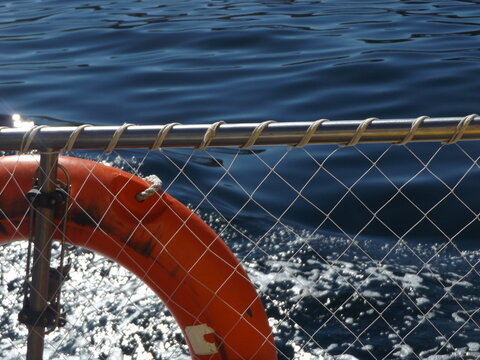 Puerto Madryn. Chubut. Patagonia argentina. Travel and nature