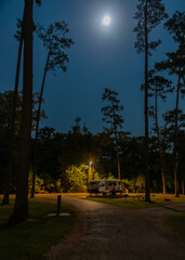 A serene campsite under a bright moonlight, with tall trees surrounding an RV parked by a street lamp. Shadows are cast across the path, creating a tranquil ambiance.