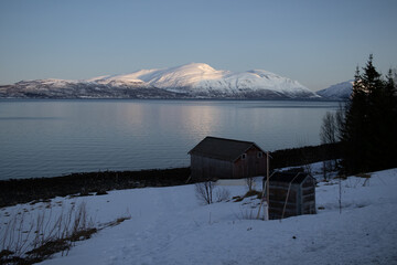 Fototapete bei efototapeten.de bestellen   