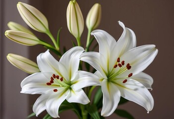 Fototapeta premium Elegant white lilies arranged in a classic bouquet, macro, wedding