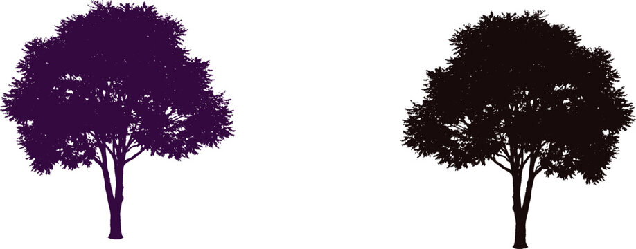 set of black silhouettes of trees. The image features two trees set against a clean white background, creating a striking visual contrast. The tree on the left is depicted in a dark purple hue, which 
