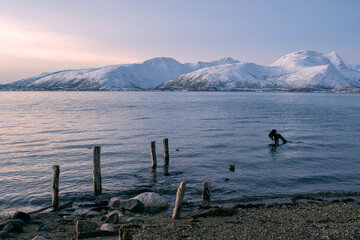 A tranquil Arctic fjord scene near Tromsø, Norway, featuring calm icy-blue waters surrounded by snow-covered mountain at sunset. In the foreground, weathered wooden posts rise from the rocky shoreline
