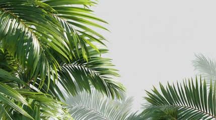 Fototapeta premium Fresh green plants and leaves creating a natural background.