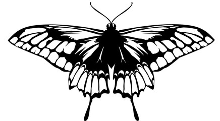 black butterfly vector illustration sketch 