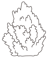 外構・庭植栽のイラスト