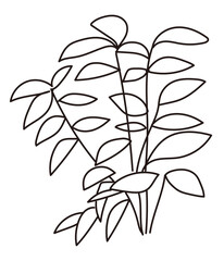 外構・庭植栽のイラスト