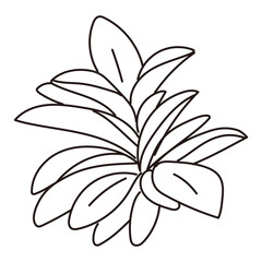 外構・庭植栽のイラスト