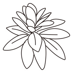 外構・庭植栽のイラスト