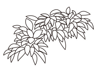 外構・庭植栽のイラスト