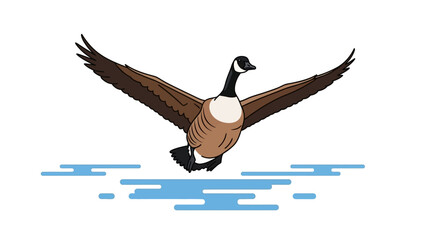 A Canada goose soars over stylized blue water wings spread wide