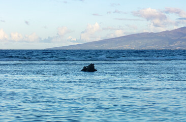 Obraz premium océan pacifique avec un morceau de l'île de Tahiti en arrière plan