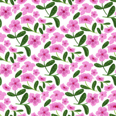 Pink Vinca Flower Seamless Pattern on White Background