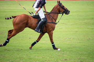 polo player on the field riding a horse during a match