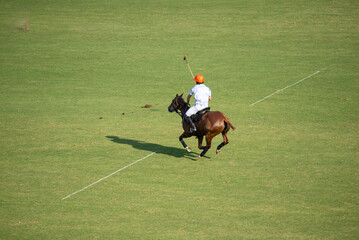 polo player on the field riding a horse during a match