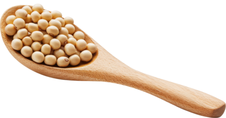 soybeans in wooden spoon on white background.