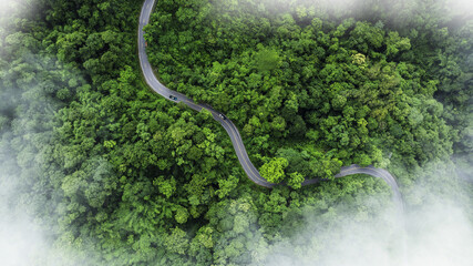 Aerial view of a winding road curving through lush green tropical forest with misty atmosphere. Scenic mountain highway surrounded by dense jungle and natural landscape.