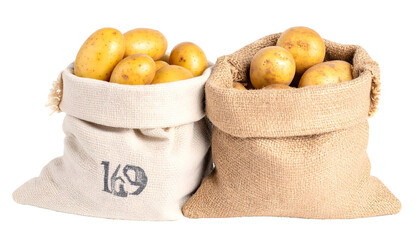 Diverse teams collaborate and brainstorm in modern office settings