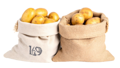 Diverse teams collaborate and brainstorm in modern office settings