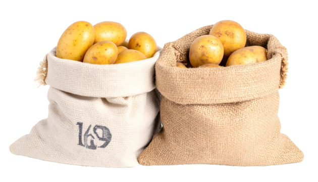 Diverse teams collaborate and brainstorm in modern office settings