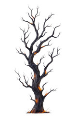 Obraz premium Withered Tree: A solitary, ancient tree stands tall, its gnarled branches reaching towards the sky. The tree's silhouette evokes a sense of age and resilience.