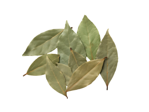 Aromatic Dried Bay Leaves Culinary Herb for Flavor and Fragrance, Enhancing Cooking with Natural Essence