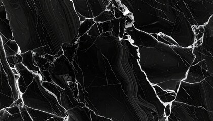 Luxurious Black Marble Stone Background with Intricate White Veins.